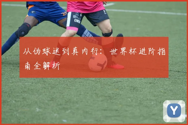 从伪球迷到真内行:世界杯进阶指南全解析