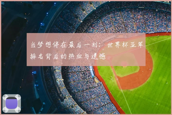 当梦想停在最后一刻：世界杯亚军排名背后的热血与遗憾