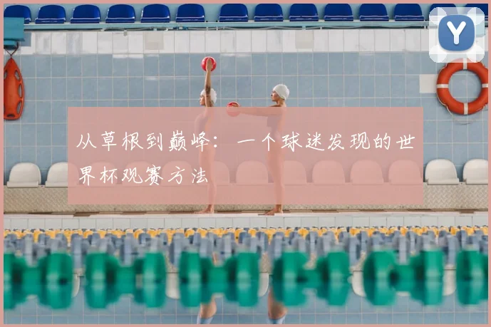 从草根到巅峰：一个球迷发现的世界杯观赛方法