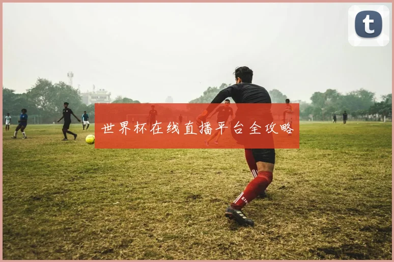 世界杯在线直播平台全攻略