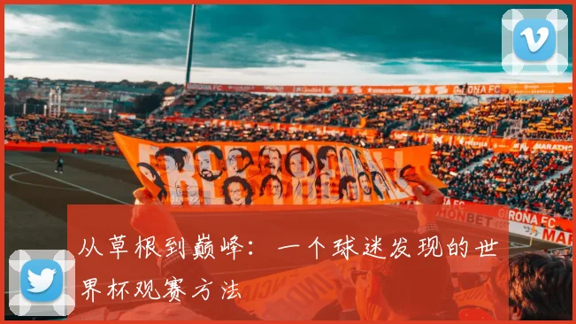 从草根到巅峰：一个球迷发现的世界杯观赛方法
