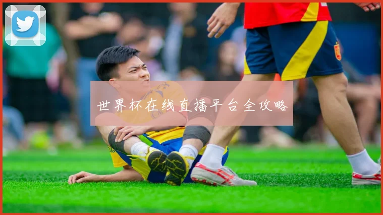 世界杯在线直播平台全攻略