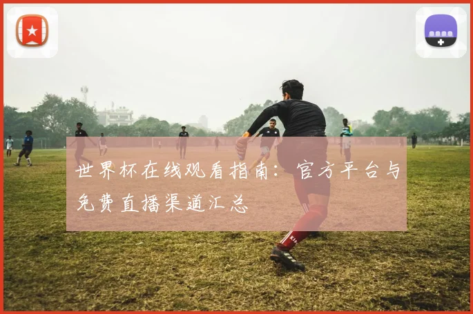 世界杯在线观看指南：官方平台与免费直播渠道汇总